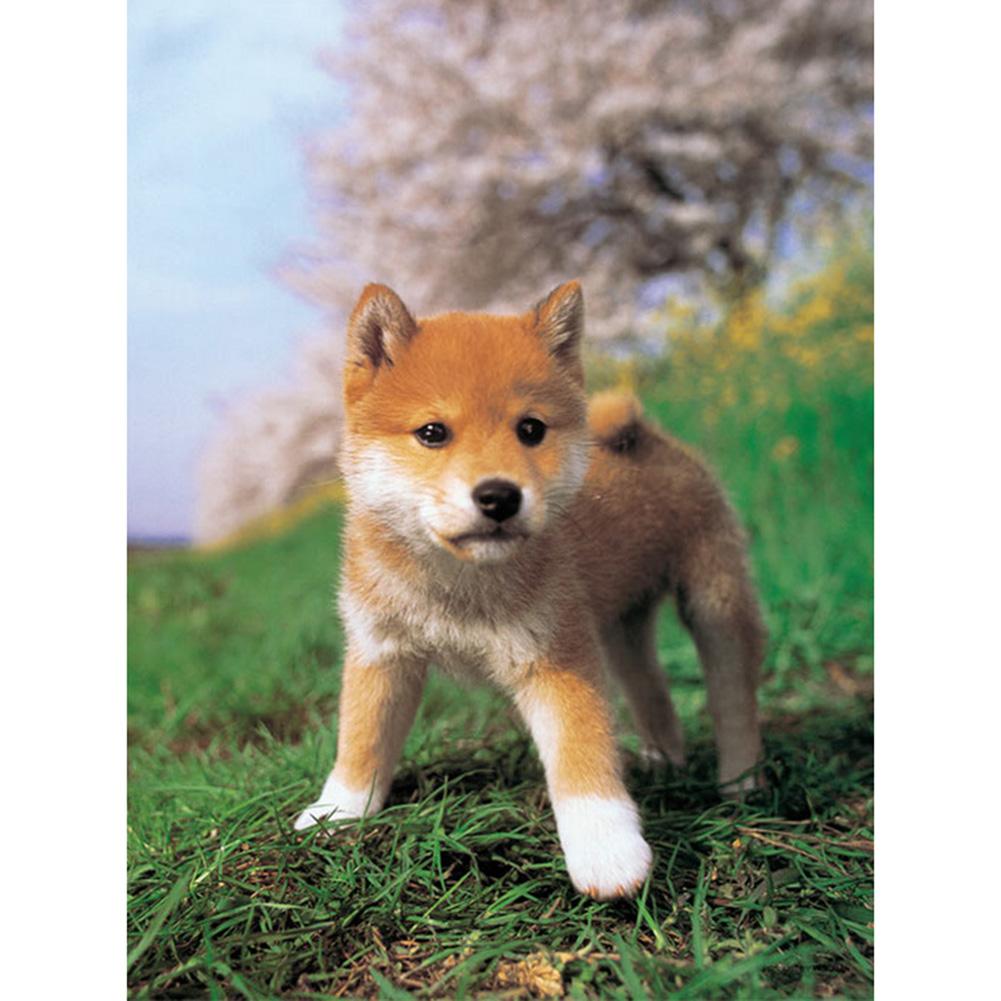 Chien curieux - peinture en diamant complet - 40x30cm