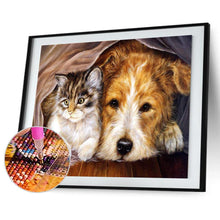 Charger l&#39;image dans la galerie, Chien de chat ennuyeux - peinture complète de diamant - 40x30cm
