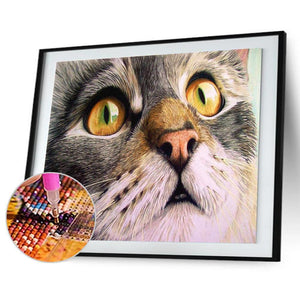 CatAnimal - peinture en diamant complet - 30x40cm