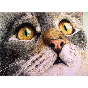 CatAnimal - peinture en diamant complet - 30x40cm