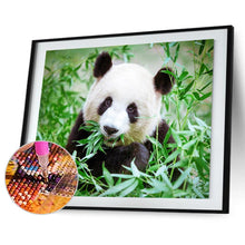 Charger l&#39;image dans la galerie, Panda mangeant le bambou - diamant rond complet - 50x40cm

