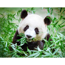 Charger l&#39;image dans la galerie, Panda mangeant le bambou - diamant rond complet - 50x40cm
