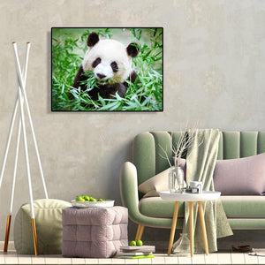 Panda mangeant le bambou - diamant rond complet - 50x40cm