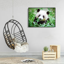Charger l&#39;image dans la galerie, Panda mangeant le bambou - diamant rond complet - 50x40cm
