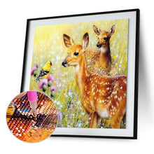 Charger l&#39;image dans la galerie, Cerf d’herbe - diamant rond complet - 30x30cm
