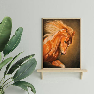 Cheval sauvage - peinture complète de diamant - 30x40cm