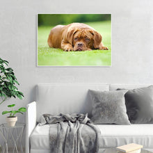 Charger l&#39;image dans la galerie, Chien bouleversé - peinture complète de diamant - 30x40cm
