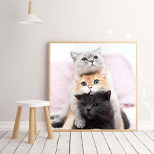 Charger l&#39;image dans la galerie, Beau chat - peinture complète de diamant - 30x30cm
