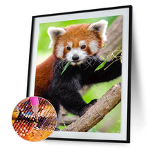 Charger l&#39;image dans la galerie, Koala d’escalade - peinture complète de diamant - 30x40cm
