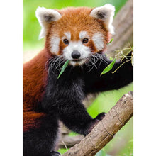 Charger l&#39;image dans la galerie, Koala d’escalade - peinture complète de diamant - 30x40cm
