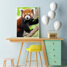 Charger l&#39;image dans la galerie, Koala d’escalade - peinture complète de diamant - 30x40cm
