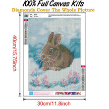 Charger l&#39;image dans la galerie, Lapin dans la stupéfaction - diamant rond complet - 30x40cm

