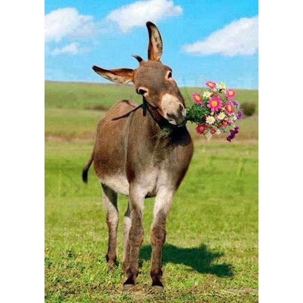 Âne - diamant rond complet - 30x40cm