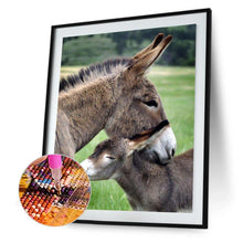 Charger l&#39;image dans la galerie, Âne - diamant rond complet - 30x40cm
