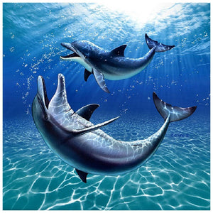 Deux baleines - diamant rond complet - 30x30cm