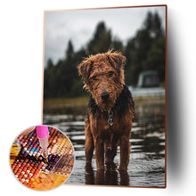 Charger l&#39;image dans la galerie, Chien - diamant rond complet - 30x40cm
