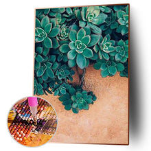 Charger l&#39;image dans la galerie, Plante succulente - diamant rond complet - 30x40cm
