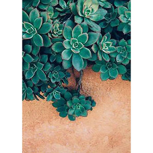Plante succulente - diamant rond complet - 30x40cm