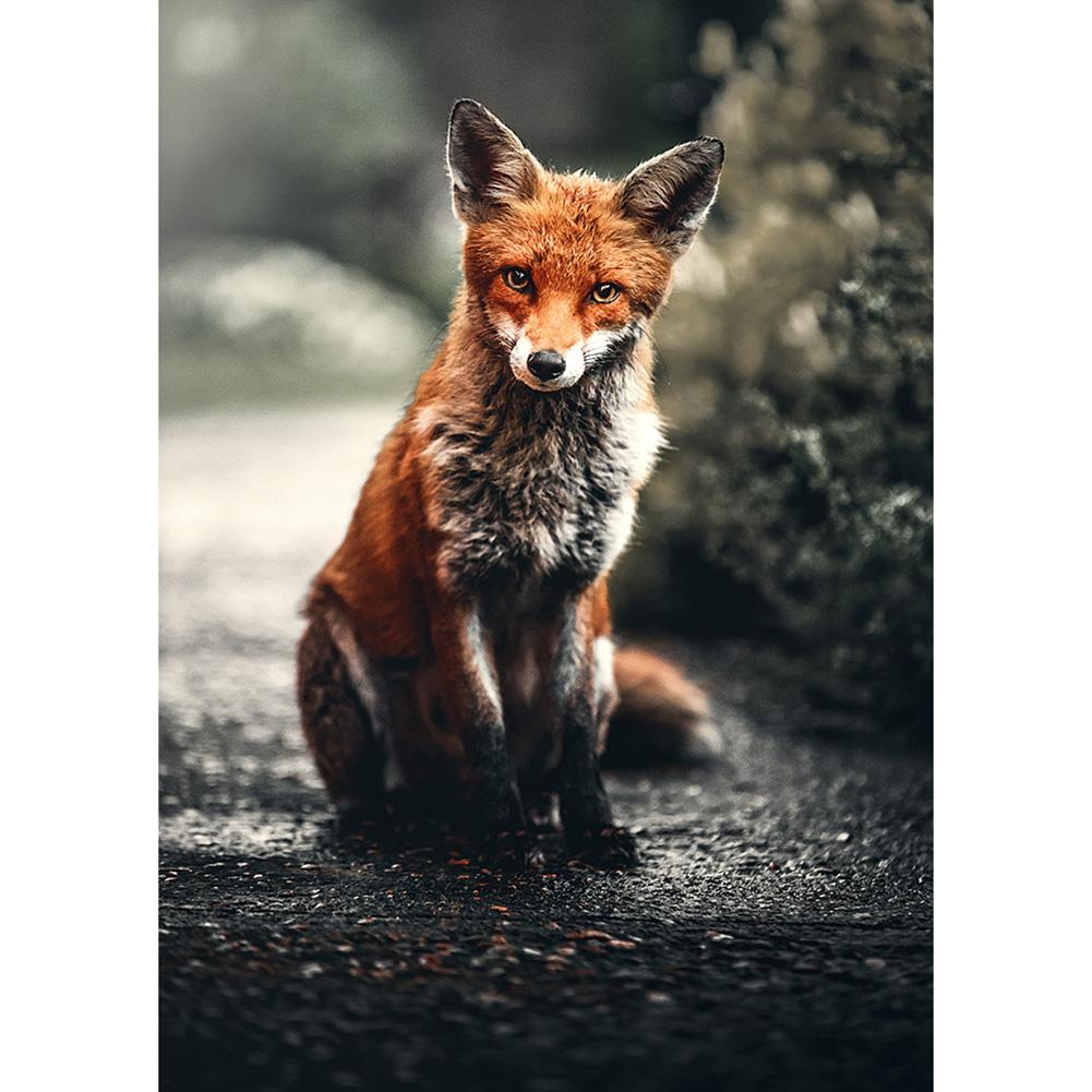 Renard sur les ornements de route - diamant rond complet - 30x40cm