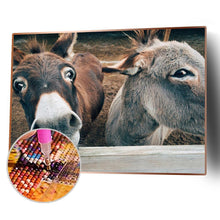 Charger l&#39;image dans la galerie, Sourire âne - diamant rond complet - 40x30cm
