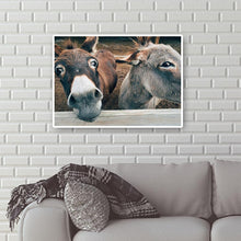 Charger l&#39;image dans la galerie, Sourire âne - diamant rond complet - 40x30cm
