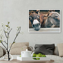 Charger l&#39;image dans la galerie, Sourire âne - diamant rond complet - 40x30cm
