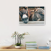 Charger l&#39;image dans la galerie, Sourire âne - diamant rond complet - 40x30cm
