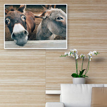 Charger l&#39;image dans la galerie, Sourire âne - diamant rond complet - 40x30cm
