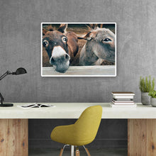 Charger l&#39;image dans la galerie, Sourire âne - diamant rond complet - 40x30cm
