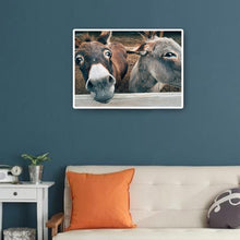 Charger l&#39;image dans la galerie, Sourire âne - diamant rond complet - 40x30cm
