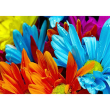 Charger l&#39;image dans la galerie, Plantes - diamant rond complet - 40x30cm
