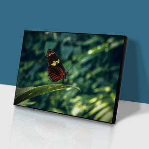 Animal - diamant rond complet - 40x30cm