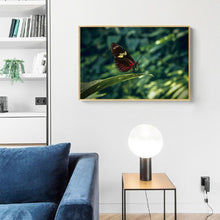 Charger l&#39;image dans la galerie, Animal - diamant rond complet - 40x30cm
