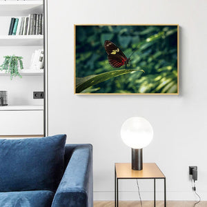 Animal - diamant rond complet - 40x30cm