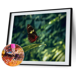 Animal - diamant rond complet - 40x30cm