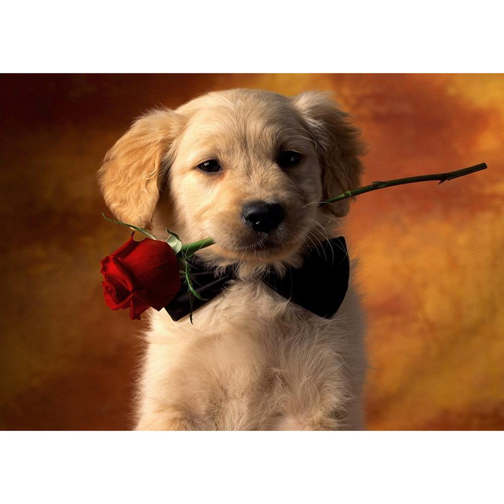 Animal - diamant rond complet - 40x30cm