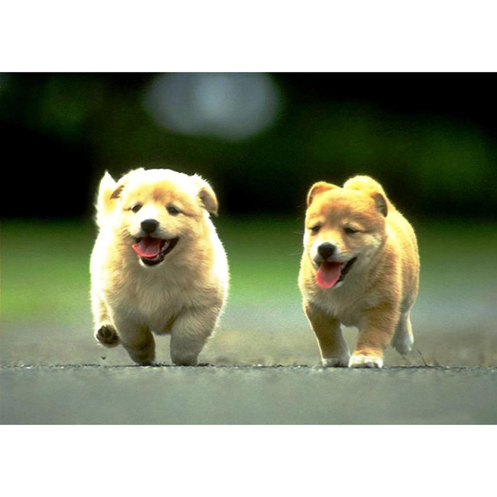 Animal - diamant rond complet - 40x30cm