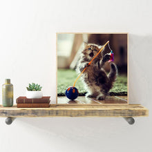 Charger l&#39;image dans la galerie, Chaton - diamant rond complet - 30x30cm
