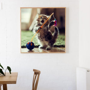 Chaton - diamant rond complet - 30x30cm