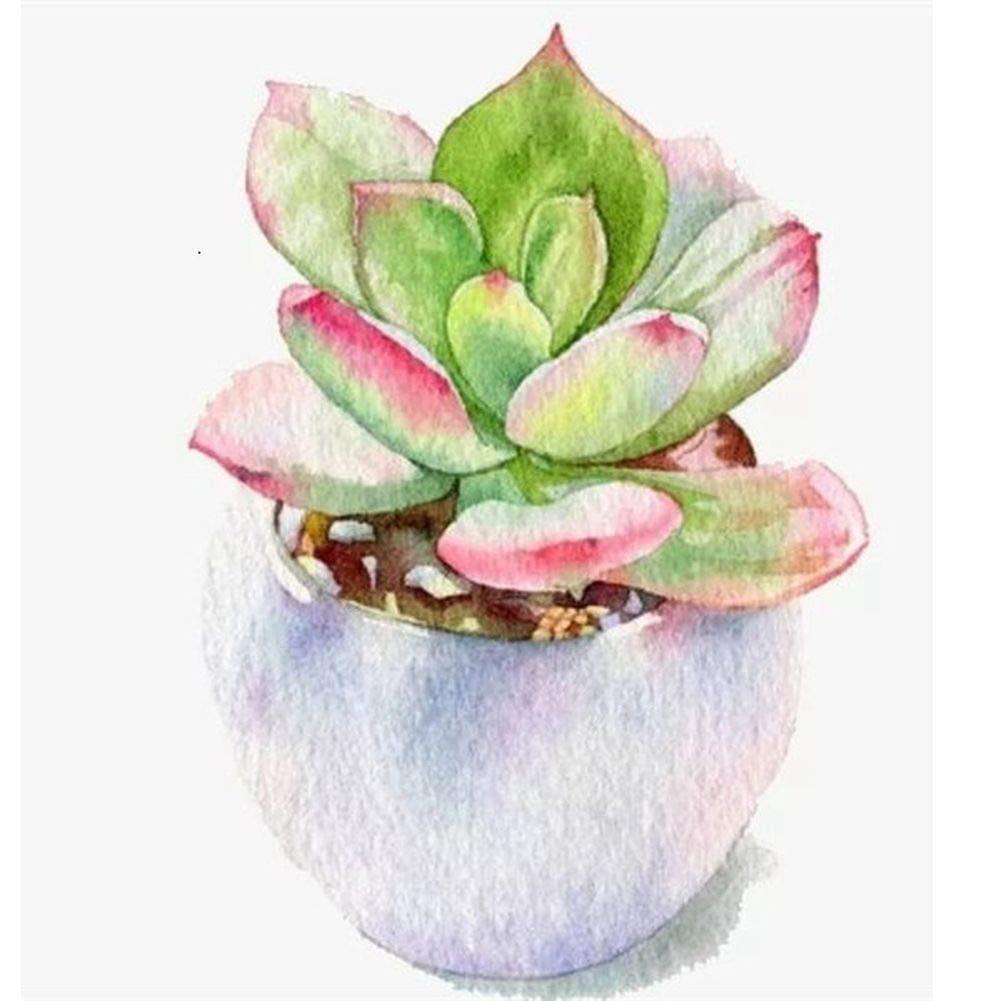 Plante succulente - diamant rond complet - 30x30cm