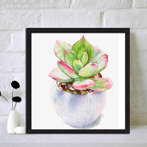Plante succulente - diamant rond complet - 30x30cm