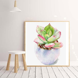 Plante succulente - diamant rond complet - 30x30cm
