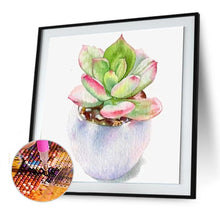 Charger l&#39;image dans la galerie, Plante succulente - diamant rond complet - 30x30cm
