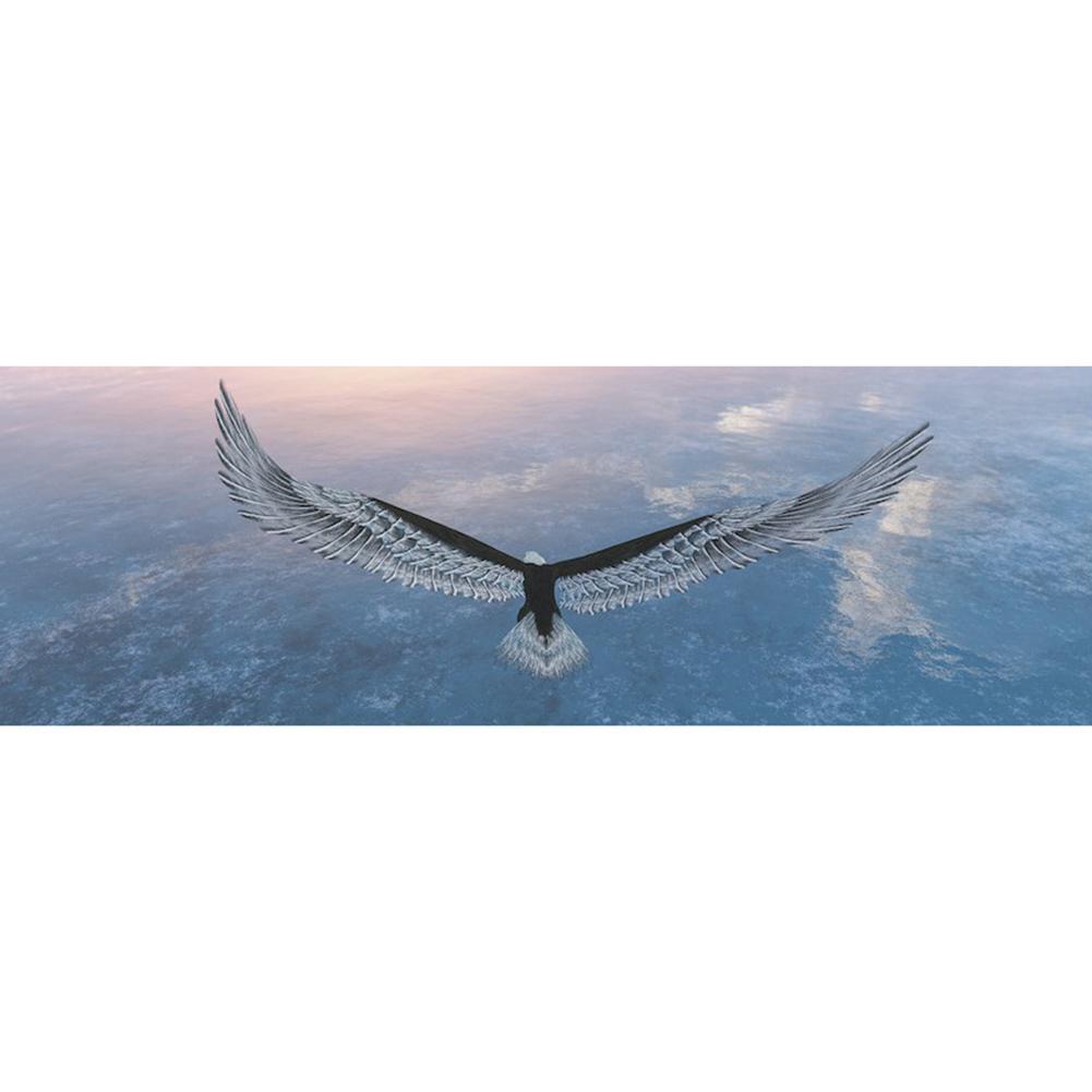 Aigle - diamant rond complet - 80x30cm