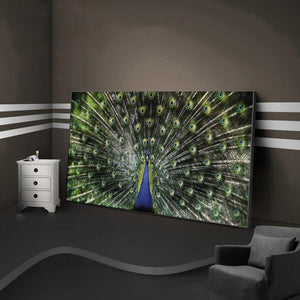Paon - diamant rond complet - 100x50cm
