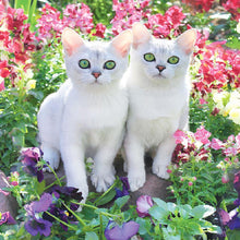 Charger l&#39;image dans la galerie, Animaux - diamant rond complet - 30x30cm
