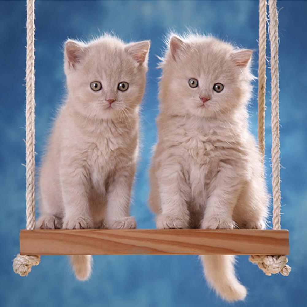 Animaux - diamant rond complet - 30x30cm