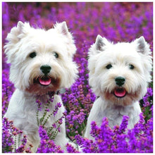 Charger l&#39;image dans la galerie, Animal de chien - diamant rond complet - 30x30cm
