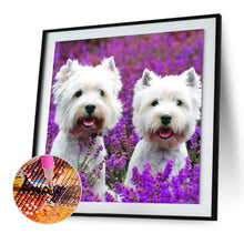 Charger l&#39;image dans la galerie, Animal de chien - diamant rond complet - 30x30cm
