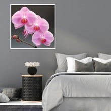 Charger l&#39;image dans la galerie, Fleurs - diamant rond complet - 30x30cm
